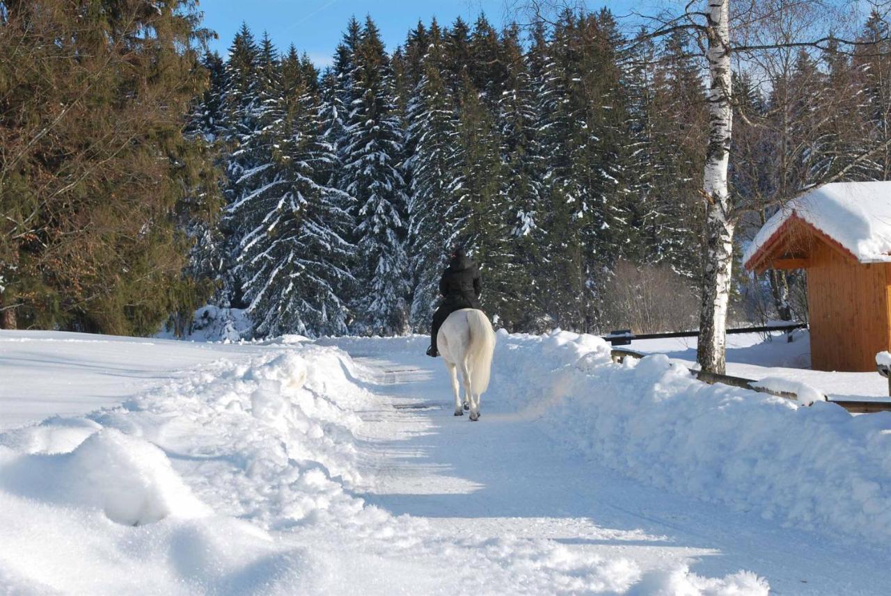 Ruheoase Am Forggensee Rieden Kültér fotó